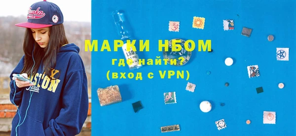 хмурый Арсеньев