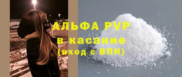 хмурый Арсеньев