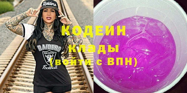хмурый Арсеньев