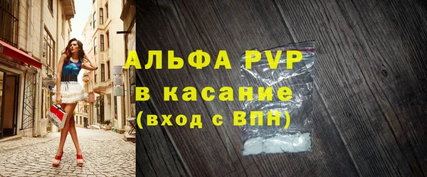 хмурый Арсеньев