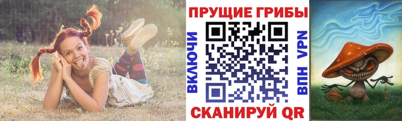 мега рабочий сайт  купить наркотик  Рузаевка  Галлюциногенные грибы прущие грибы 